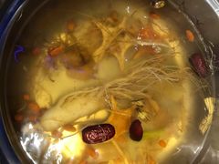 -千岛蚝高压锅生蚝·人参火锅(白云万达店)