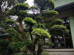 -浙江西子宾馆·瑶园咖啡厅