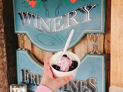 蓝莓酸奶冰激凌-Kate's Berry Farm