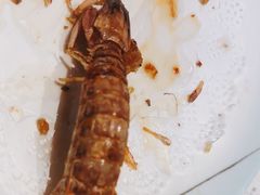 -巧克力渔家.小船海鲜胶东菜(万平口店)