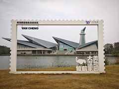 -盐城丹顶鹤湿地生态旅游区