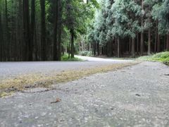 -山王坪喀斯特国家生态公园
