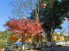 -磐安舞龙峡景区