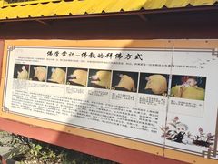 -中原大佛景区