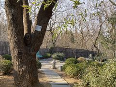 -大连植物园