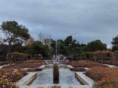 -丽池公园