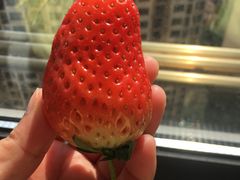 -红星农博物流中心