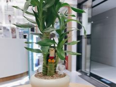 -深圳佑诺口腔门诊部