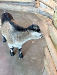 -Zoolung Zoolung动物主题公园(海信广场店)