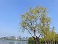 -天鹅湖体育公园