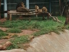 -昆明动物园