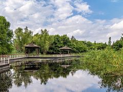-同里国家湿地公园