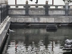 -光孝寺
