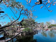 -无锡蠡湖国家湿地公园-蠡园