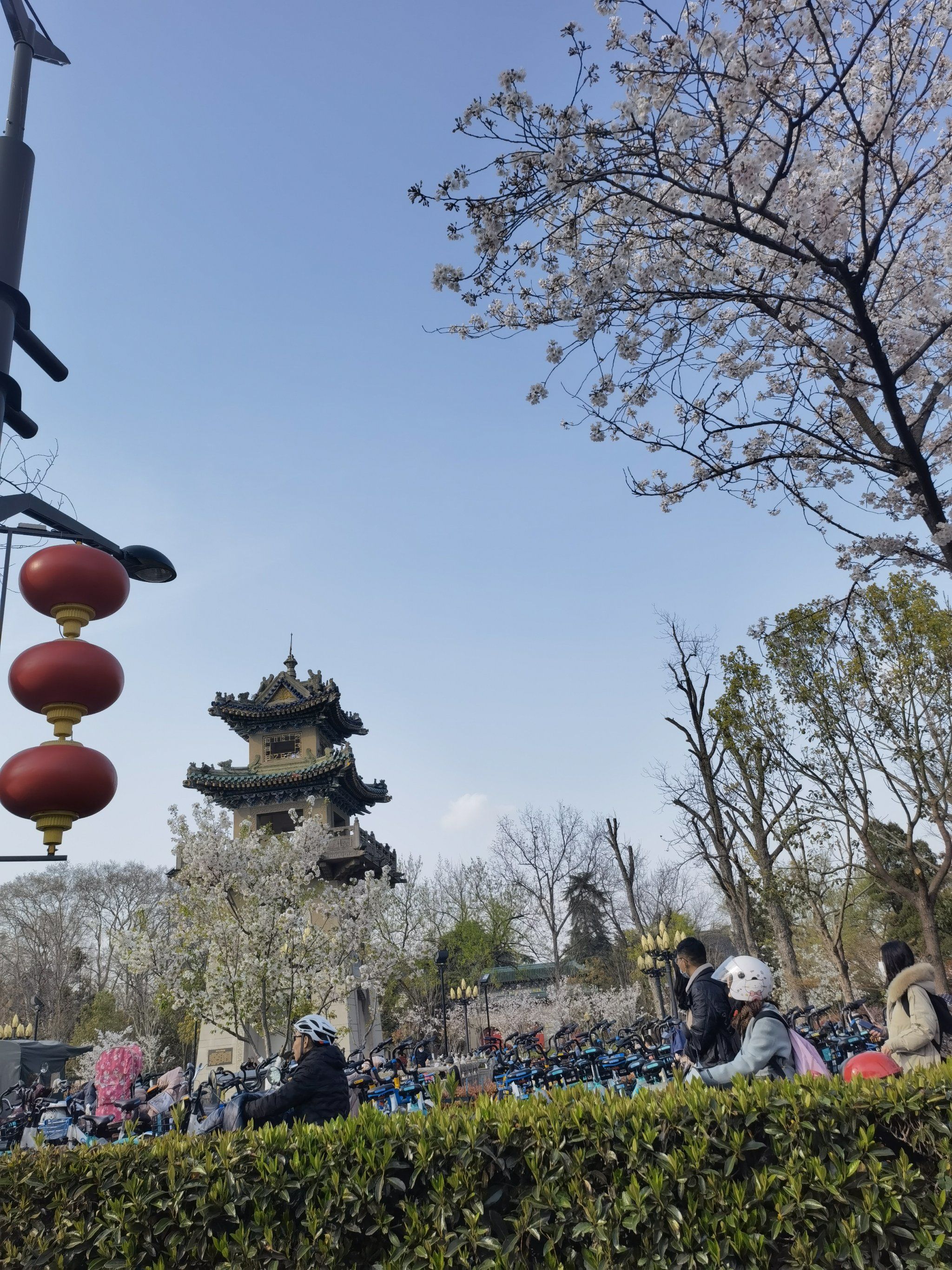 美丽的和平公园