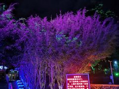 -胡里山炮台