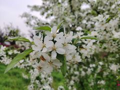 -石塘人家