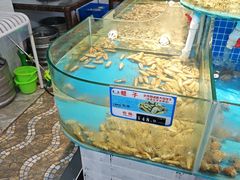 -叶存利海鲜大馅饺子(海宁路总店)