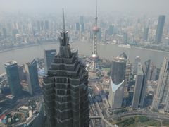 -The lounge 柏悦酒店大堂酒廊(上海环球金融中心店)