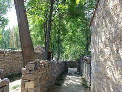 android_upload_pic-红嫂家乡旅游区