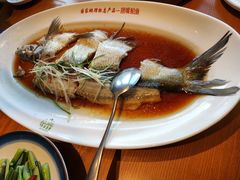 翘嘴鲌鱼-丹江渔村(望京店)