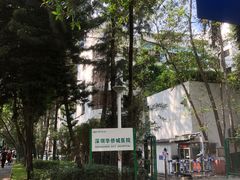-深圳华侨城医院