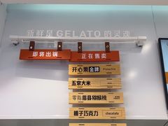 -野人先生现做冰淇淋(西安赛格店)