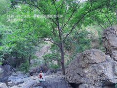 -妙峰山风景名胜区