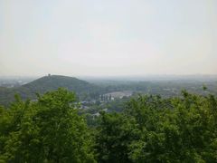 -上海佘山国家森林公园西佘山园