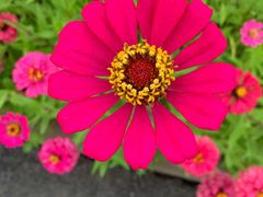 -永定河休闲森林公园