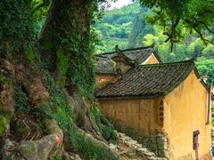 -杨家堂村