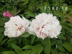 -裕华世纪公园