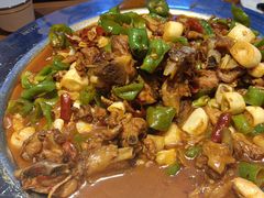 -俭寨大盘鸡·缸子肉·小公鸡·新疆菜(云通店)