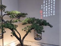 -小厨娘淮扬菜(六合欢乐港店)