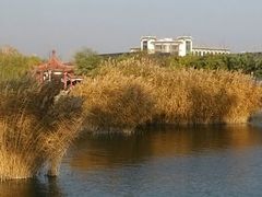 android_upload_pic-海宝公园