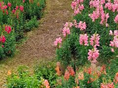 -海心沙亚运公园