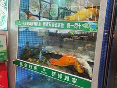 -全乐鱼馆·淳牌有机鱼直营店