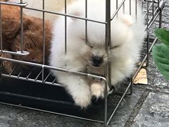 -光明港公园
