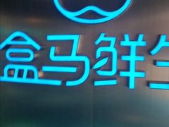 -盒马鲜生(龙德广场店)