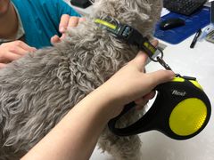 -中农国际动物医院24小时·猫科·骨科·急重症中心