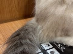 -剧狐剧本杀·月球探案馆(人民广场1号店)