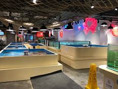 -日进一片海.生腌海鲜火锅.宵夜烧烤(三里屯总店)