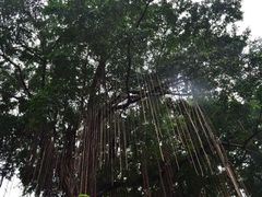 -乌山风景区