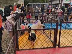 -太阳岛度假酒店