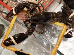 -万龙洲海鲜(大兴绿地缤纷城店)