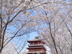 -古柏渡飞黄旅游区