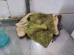 -不止轰趴桌游麻将台球(立水桥店)