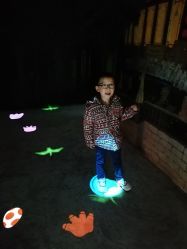 -恐龙探索乐园(磁器口店)