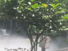 -大妙火锅·非物质文化遗产(东湖公园店)