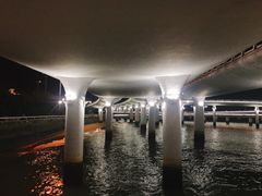 -演武大桥观景平台